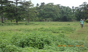 Commercial Land Available For Sell in Siliguri