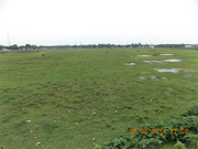 Best Prices 20 Bighas Land Sale in Siliguri (Near Matigara)