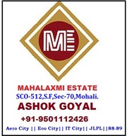 Newly constructed 10 Marla triple story kothi in Sector 90-91 mohali