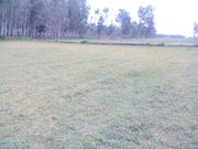 200SQ.YD. PLOTS ON MINIMUM INVESTMENT RATE,  NR. DEHRADOON……