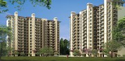 Live  Among Green Surroundings at Vatika Seven Seasons Floors  Gurgaon