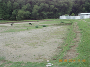 30 Bigha Commercial Land Sale in Alipurduar