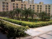 Paras Tierea Excellent Property @ 09910777140