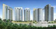 Ajnara Enclave- A Golden Opportunity for a Dream Home