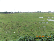 Wonderful Commercial Space at Fulbari is on Sale