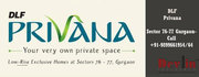 DLF Privana Luxurious Floors In Gurgaon |Call:9899661954