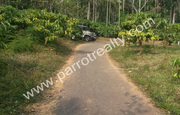 1 acre land for sale in Cheengodu(wayanad).