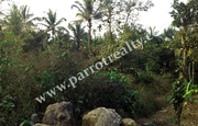 18cent house plot for sale in Near Cheengodu.