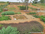 DIVINE EUPHORIAR FARM LAND ONLY Rs.277 per.sq.ft near Mahalakshmipura