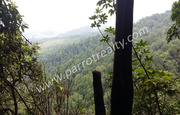 20 acre Land for sale in Near Vythiri.