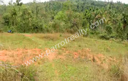 1.5 acre of land for sale in Pulpalli , Wayanad.