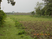 Commercial Land Properties Sell in Alipurduar at Nominal Price