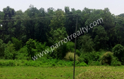 1.50 acre land for sale in near Cheengodu.wayanad