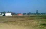 fresh Vastu Compliant 200sqyd. Plots in sec-117 near 200ft.Road Mohali