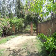 Farm House For Sale In Jaunapur