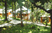15cottage for sale in near Vythiri.