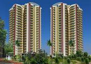 Huge flats in Gardenia Glory Sector 46 Noida