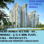 2/3 bhk flats for sale in hero homes sector 88 mohali. booking open