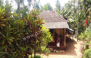 57cent land with small house for sale in Athirattukunnu(kenichira),