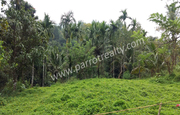 Land for sale In Kavumannam, Wayanad.