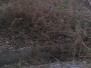 4bhk old house for sale in Banashankari 2nd stage