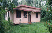 1acre land with small house for sale In Kadalmadu, Wayanad.