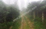 5 acre land for sale near meenmutty water falls, Wayanad.
