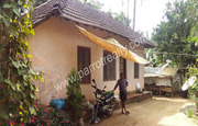 50cent land with house for sale in manalvayal.Wayanad.