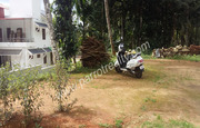 20cent land with 1600sqft house for sale in cherukattoor.Wayanad.