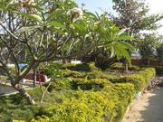 Stylish Plots in the outskirts of IT city at Homes, Call: 8880003399