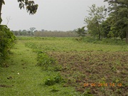 Sale Best Conversion Land Near Alipurduar Jn