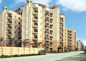 Luxury Flats near Chandigarh