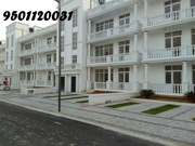 DLF Commercial SCO in New Chandigarh , Mullanpur