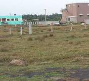 2 & 3 Cottah Residential Plot at Subhasgram, Baruipur.