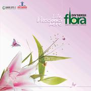 Divyansh Flora, Gaur City-2, Noida Extension