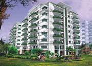 SVC Ventures is a name to reckon with in real estate business