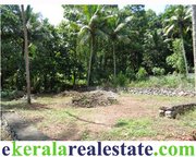 Trivandrum Kachani Nettayam Land plot for sale
