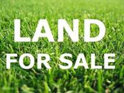 47 cent land for sale at bolar Rs.56400000