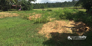 18cent land for sale in Thirunelli