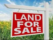 Land Sale in Digha and Mandarmani