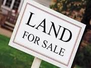 Land Sale in Digha & Mandarmani