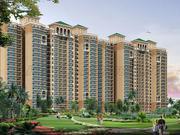 Choose Omaxe Grand for comfortable lifestyle with world all amenities