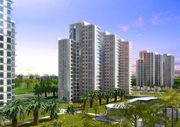 Elite Golf Green, Elite Group, Noida - Indian Real Estate - Elite Golf Greens