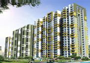 Ace Platinum by Ace Group India