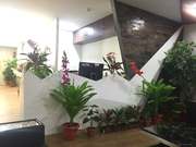 Interior Design Services in your city