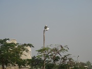 Plot for sale At Katraj Vrundawan Society