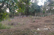 Well demanding 32cent land for sale in Padinjarathara