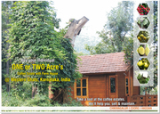 coffee estate and farm house for sale in sakleshpur, coorg,