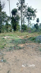 Well demanding 10cent land for sale near Meppadi at 15lakh