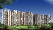 Gaur City | Ready To Move Flats | Noida Extension, 8447146146